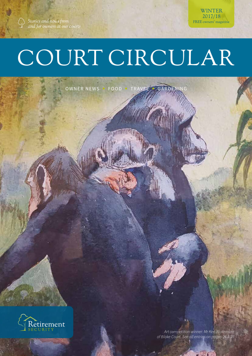 Featured image for “Court Circular – Winter 2017”